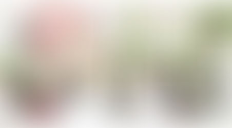 The conservatory at Evergreen spring wedding Indianapolis