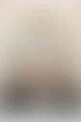 Wedding party picture on Steps at Scottish Rite Cathedral Events Indianapolis