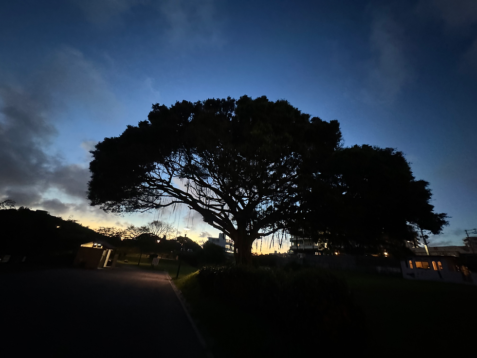 思考と本質に触れる旅~自分軸を取り戻す6つの対話~