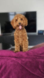 WhatsApp Image 2025-02-15 at 17.06.55.jpeg