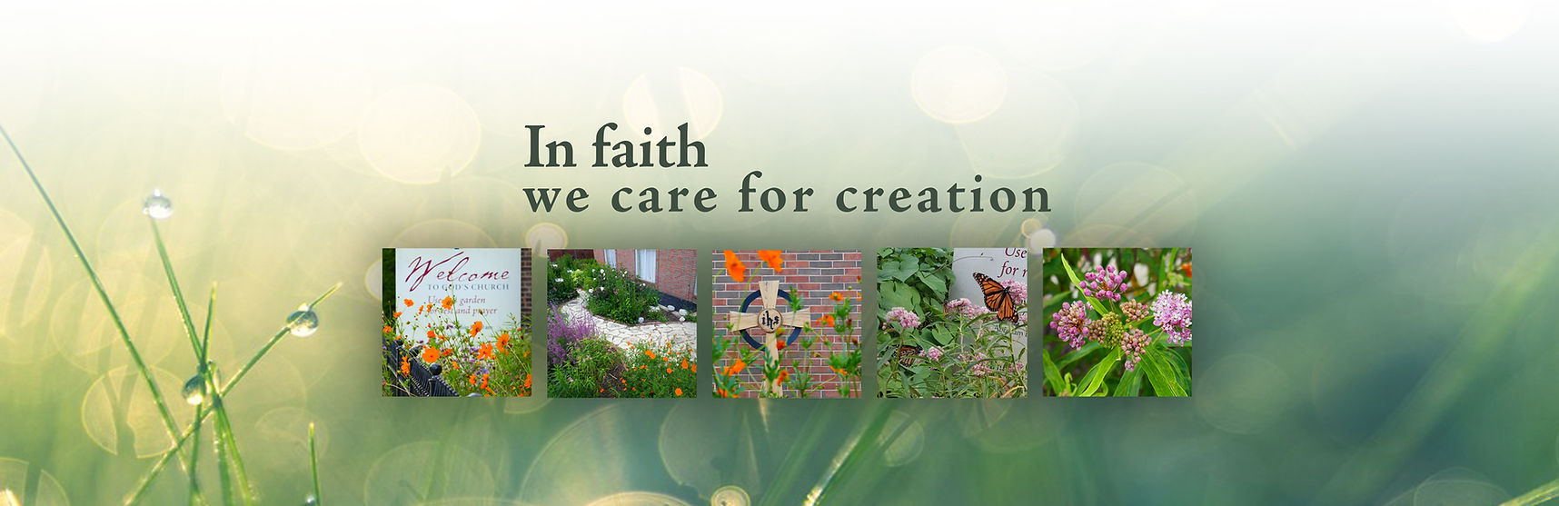 Banner---Earth-care-for-web.jpg