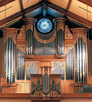Organ_no-lines.gif