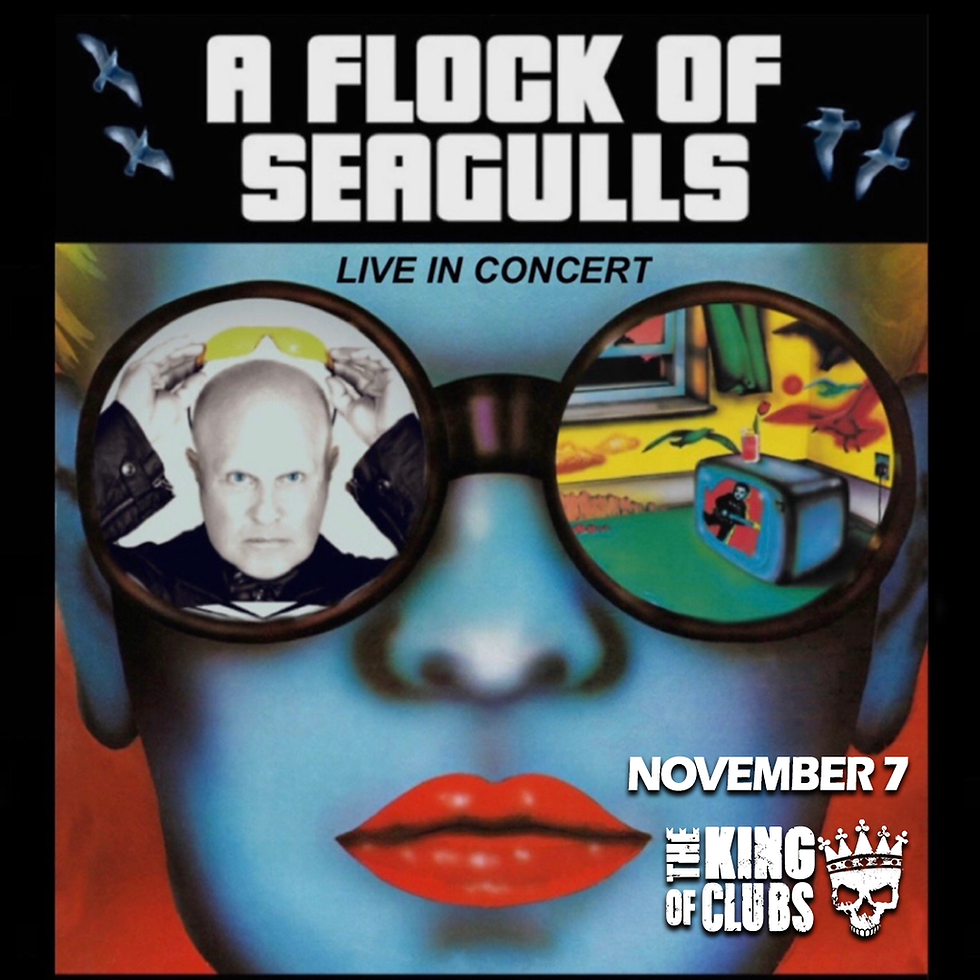 A Flock of Seagulls