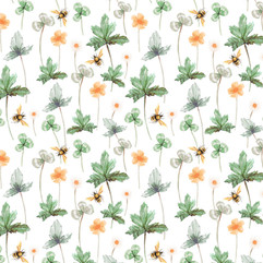 Wildflowers & Bees