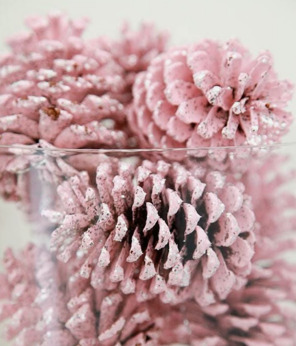 pink painted pine cones