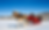 Winter Sleigh Ride in Sun Valley