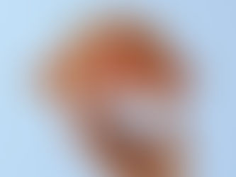 5 effortless manieren om je Frans te verbeteren