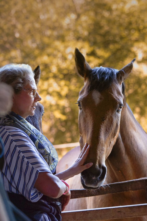 Ältere Frau streichelt ein Pferd an einem Stalltor bei goldenem Licht