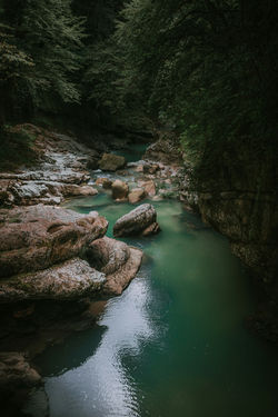 vruyr-martirosyan-euRl2gqPJAY-unsplash - Copy