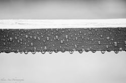 Droplets