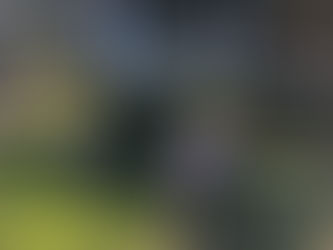 ジュニア選手の下半身集中トレーニング!