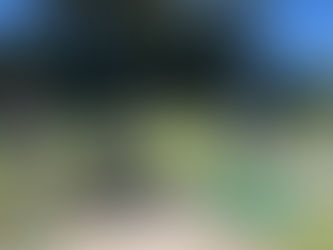 飛距離を伸ばすトレーニング!