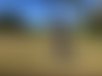 パッティング集中