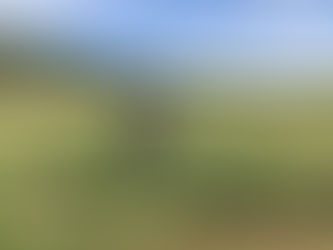 インパクト練習と100メートル以内ウェッジ距離のコントロール!