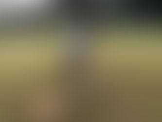 スイング矯正とCAPTO(キャプト)パッティング解析