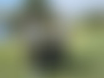 スパーム(SParms)スポンサー