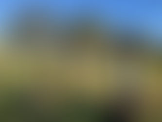 アランデル18ホールハンディキャップラウンド