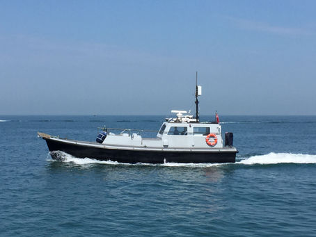 Nelson Rally - Paris 2009