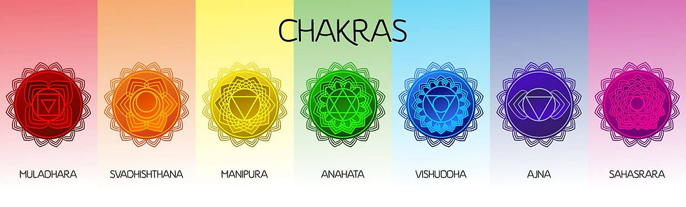 chakras 7 para site .jpeg