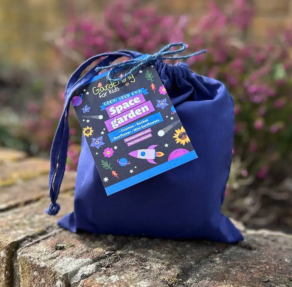 Thumbnail: Gardening For Kids Children’s Grow Your Own Gift Bags