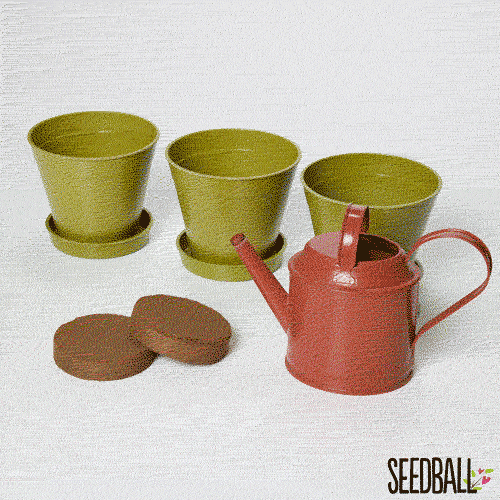 Thumbnail: Seedball Mini Meadow Bamboo Pots