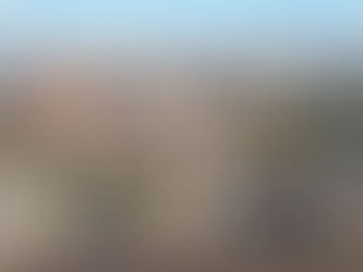 Avanzan la reparación de Atucha II