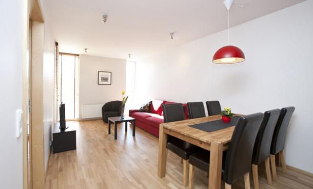 Njálsgata 55 Apartment