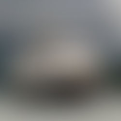 Discover Your Own Backyard