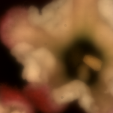 LimitedOneShot0_19_15.10.2020_19.03.43_file1Exp_82.42Gain_0TotStepNumber33.tif