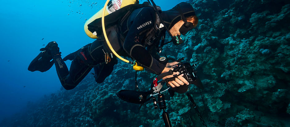The Camera That Will Discover the Secrets of the Sea