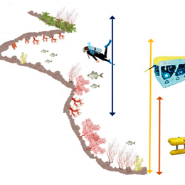 Needs and Gaps in Optical Underwater Technologies and Methods for the Investigation of Marine Animal Forest 3D-Structural Complexity