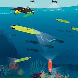 The Coral Reef Sentinels Program: A Mars Shot for Blue Planetary Health