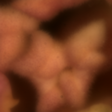 LimitedOneShot1_18_15.10.2020_18.11.01_file2Exp_74.18Gain_0TotStepNumber33.png
