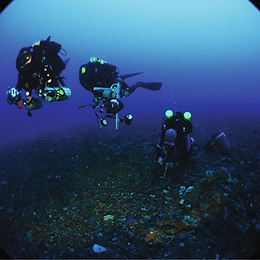  Theme section on mesophotic coral ecosystems: advances in knowledge and future perspectives