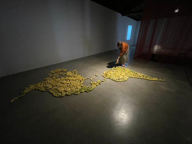 untitled image