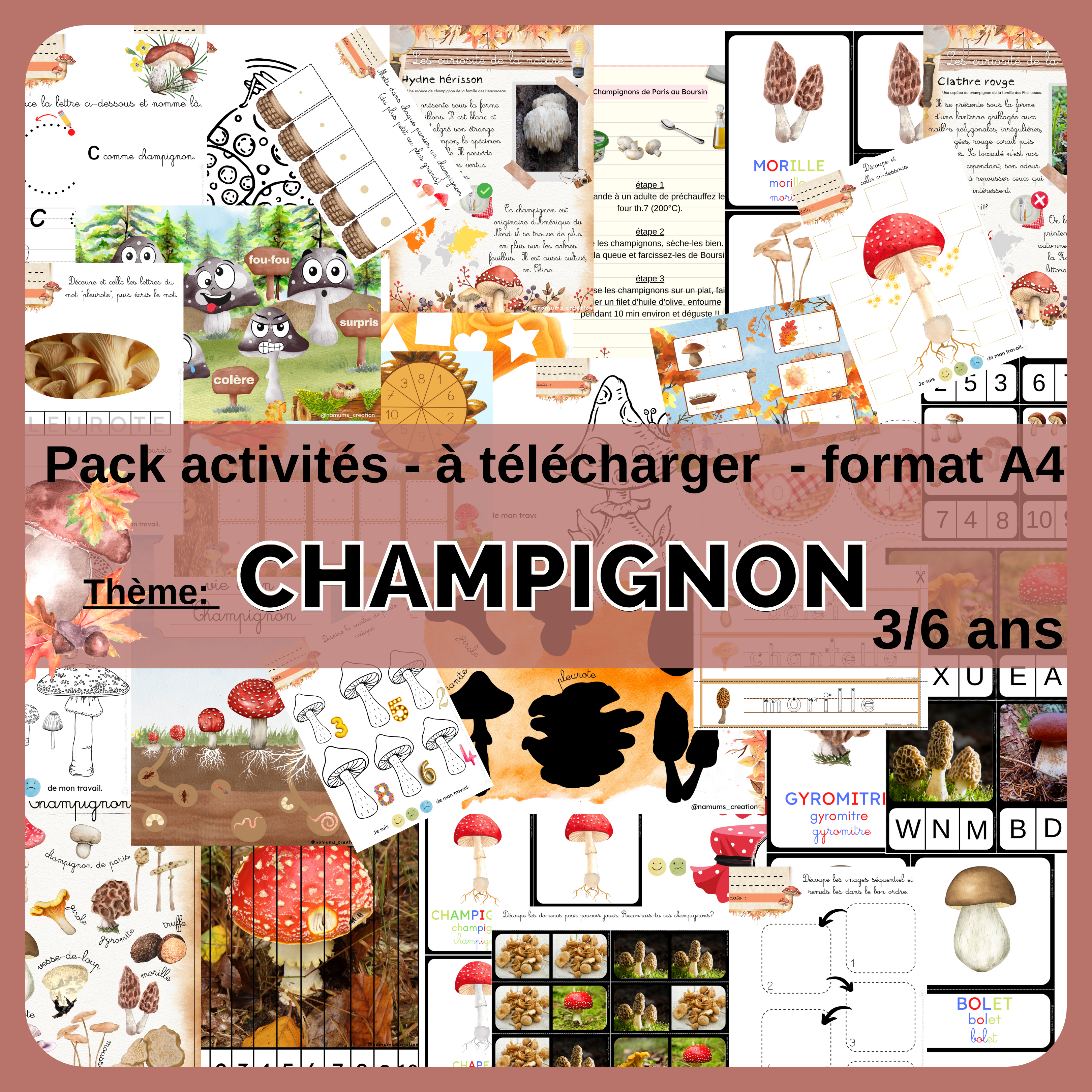 MAXI Pack activités - Champignon
