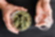 iStock-940792174.jpg