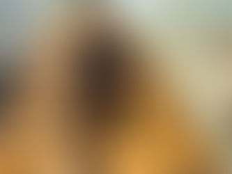 【お知らせ】株式会社トイトミライの公式Webサイトを公開いたしました!