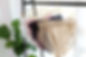 動画シーン2|P1024558.JPG