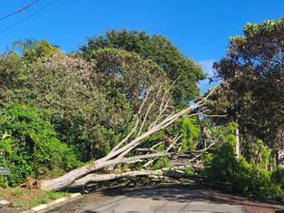 Forte temporal atinge o Jardim Leonor e reforça alerta para novos episódios de chuva