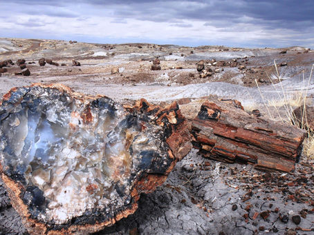 WHAT TO DO WHEN SALES STRATEGIES BECOME FOSSILIZED