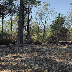 Agricultural Services