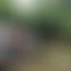 Residential Services