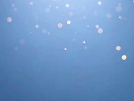 Bingo Online 2025 - Sindicato Banco de Chile¡Ya puedes inscribirte!