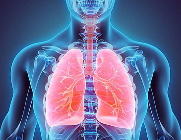 Physiology Stock photo.jpg
