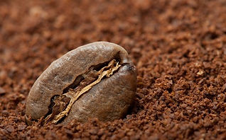 GReid - Exporter and Importer of Soft and Hard Commodities - Trader