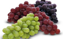 GReid - Exporter and Importer of Soft and Hard Commodities - Trader