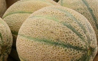 GReid - Exporter and Importer of Soft and Hard Commodities - Trader