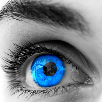 GReid - Exporter and Importer of Soft and Hard Commodities - Trader