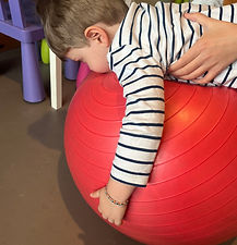 IMG_7704.jpeg